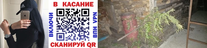 ГАШ Завитинск