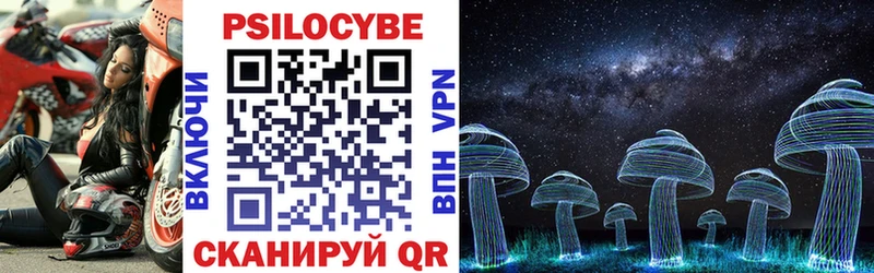 Галлюциногенные грибы Magic Shrooms  закладка  Завитинск 